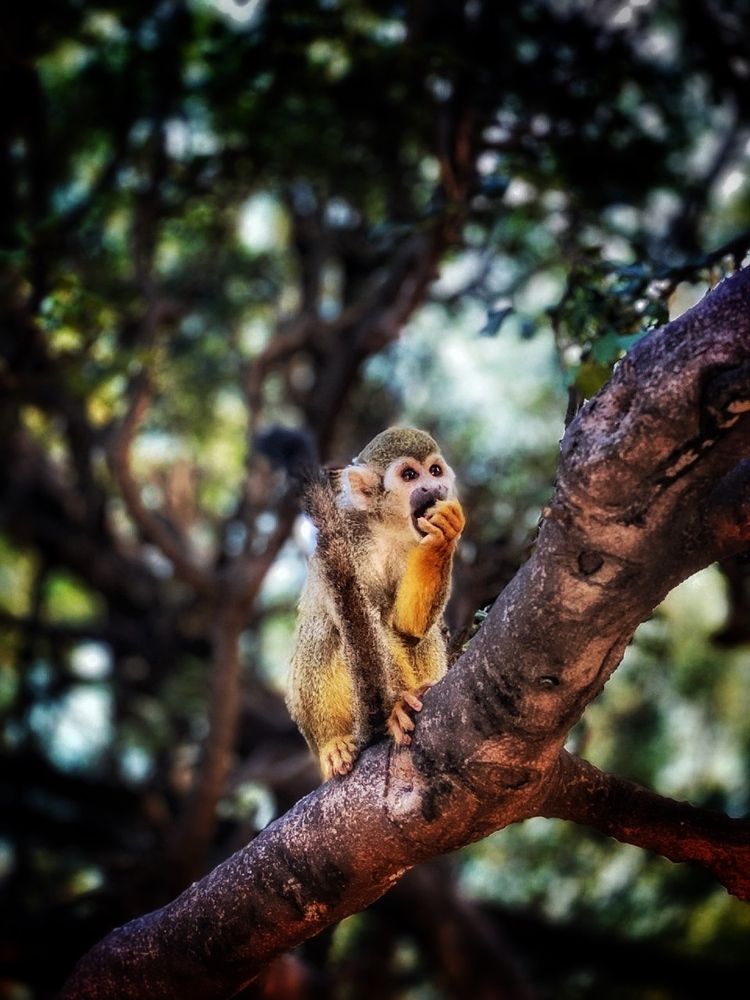 Photograph by Юлия