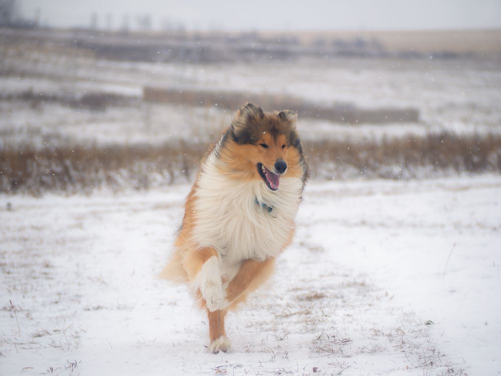 Фотография автора Иван Фомин