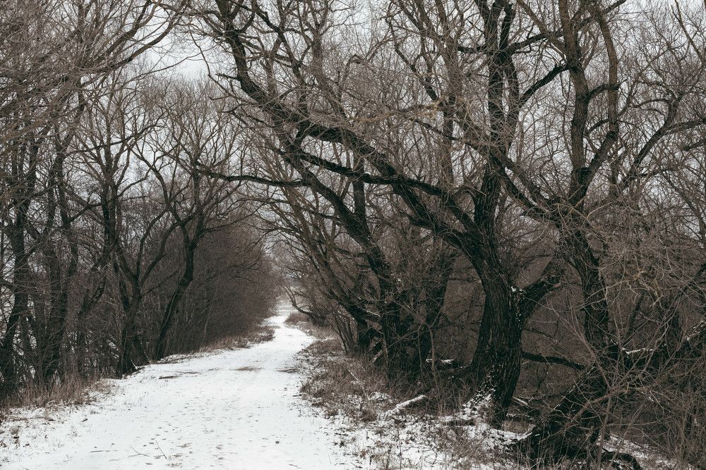 Фотография автора Aliaksandr Shautsou