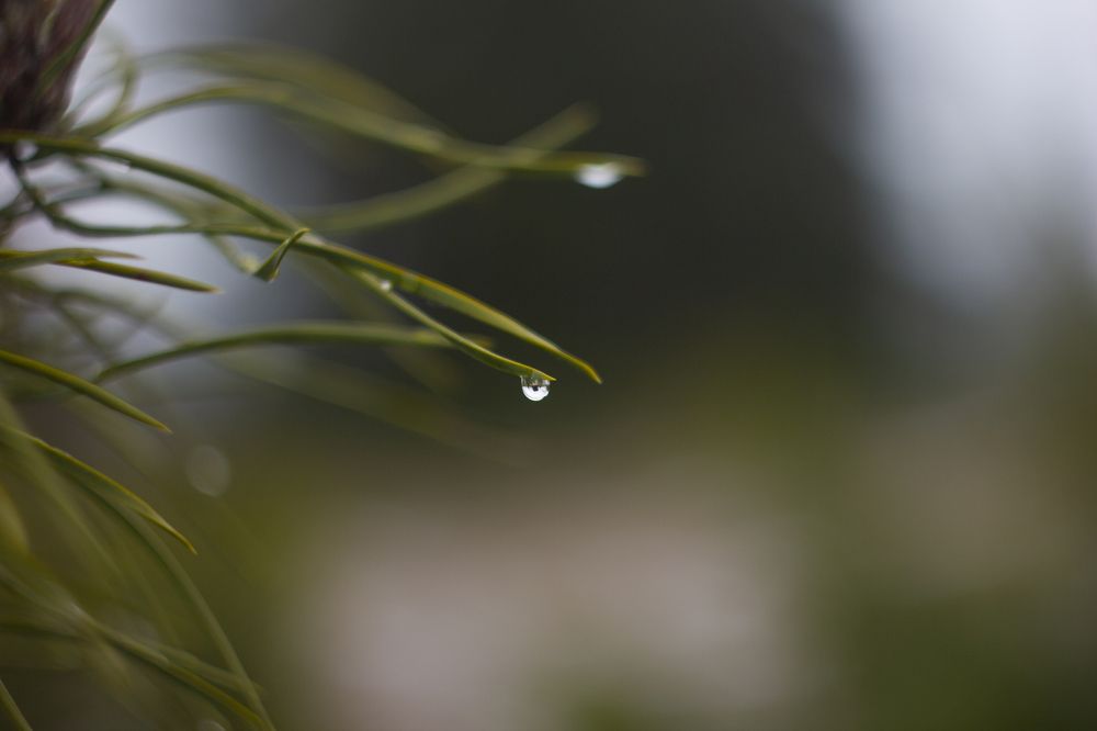 Photograph by Давид Семенов