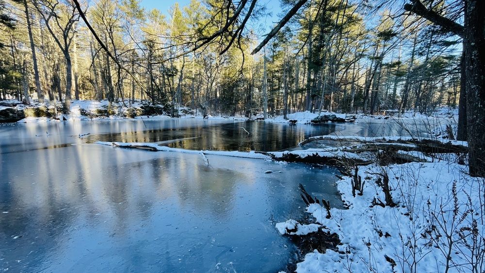 Фотография автора Olga Andriuc