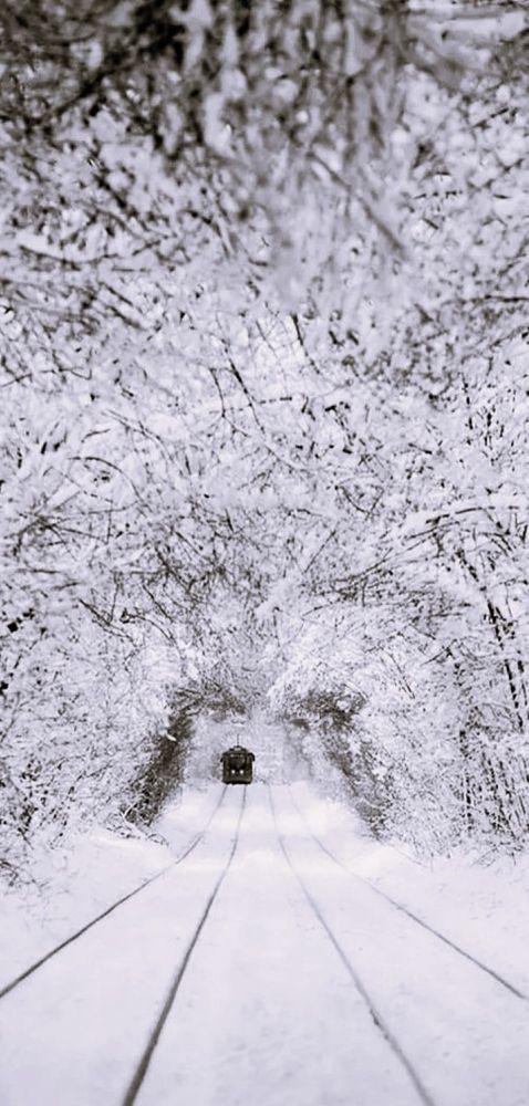 Фотография автора Вячеслав