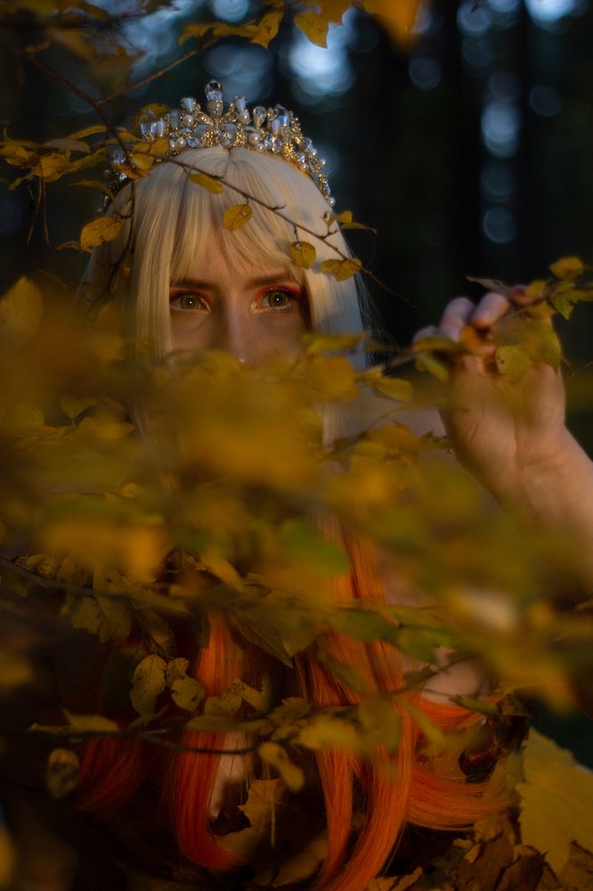 Photograph by Kotik photo