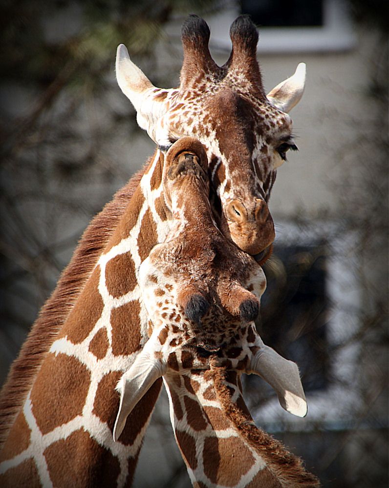 Фотография автора Александр
