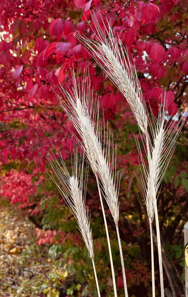 Фотография автора Olga Andriuc