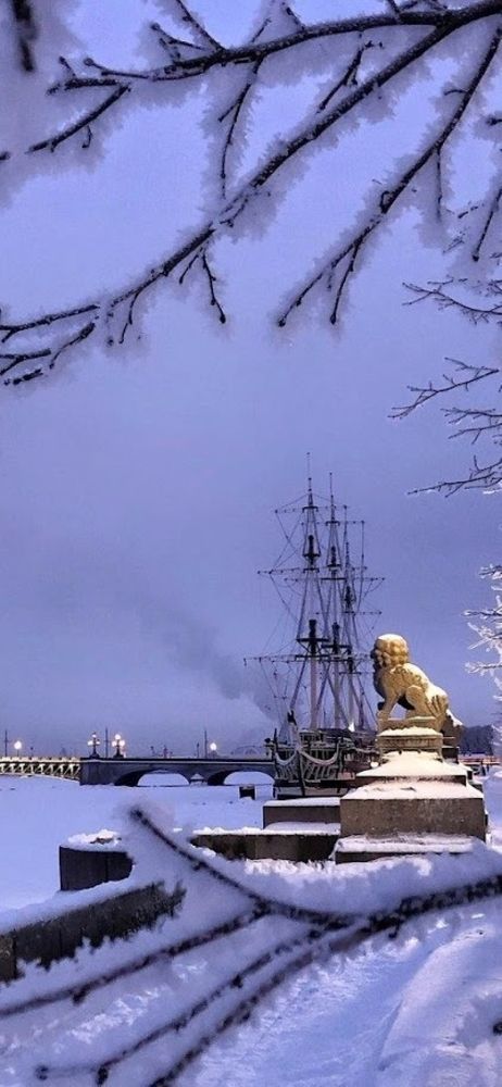 Фотография автора Вячеслав