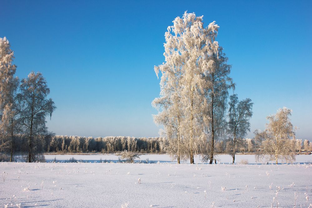 Photograph by Вера Лопатина