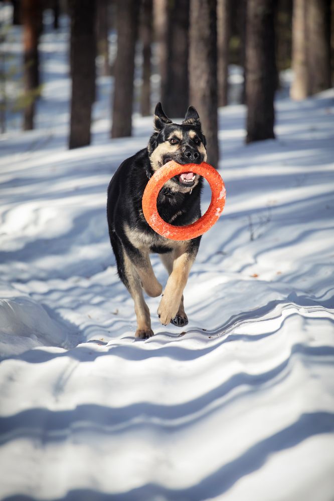 Photograph by Екатерина Степанцева