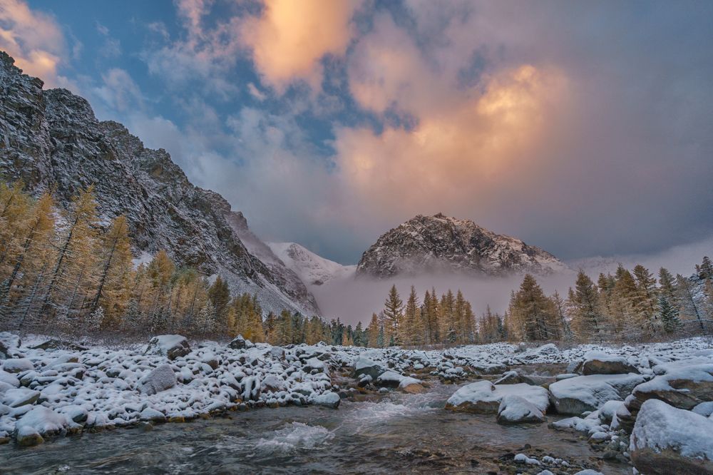 Photograph by Лариса Дука