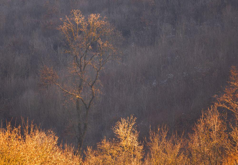 Just painted a little on gold