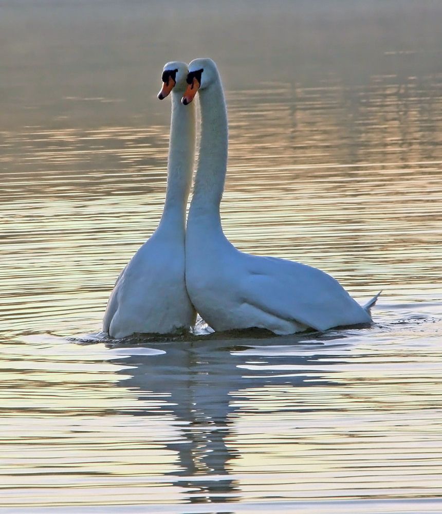 Фотография автора Александр