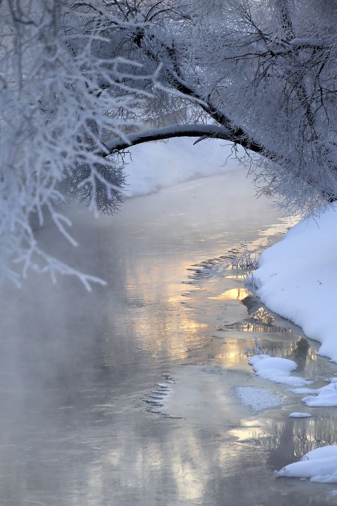 Фотография автора Inga Ivanova