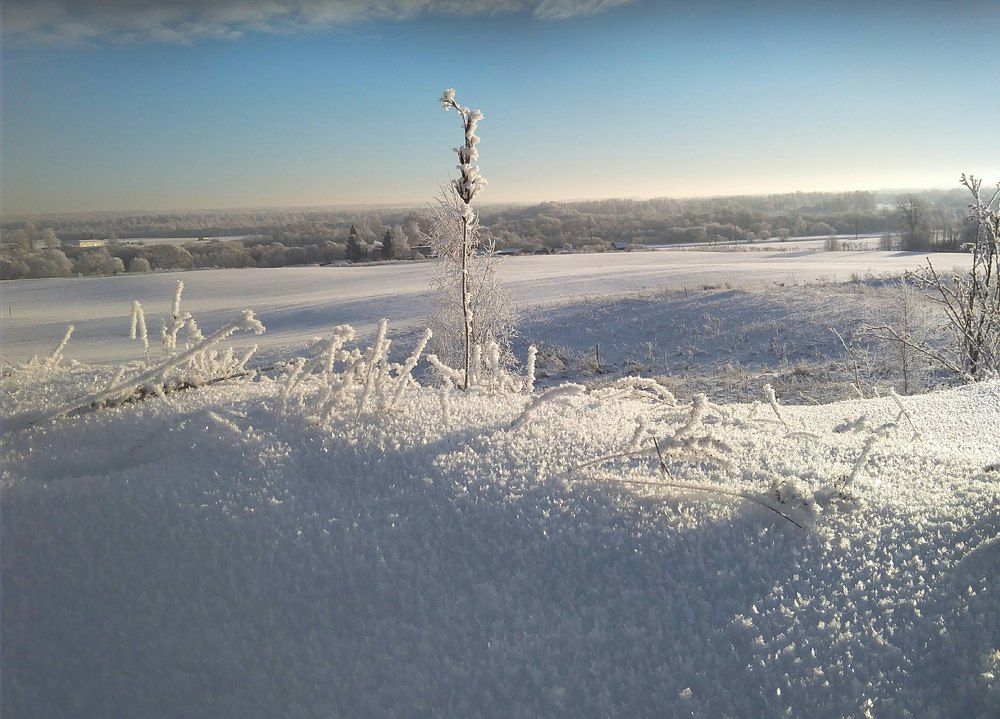 Фотография автора Алиса
