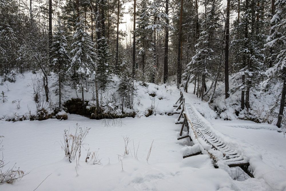 Photograph by Евгений