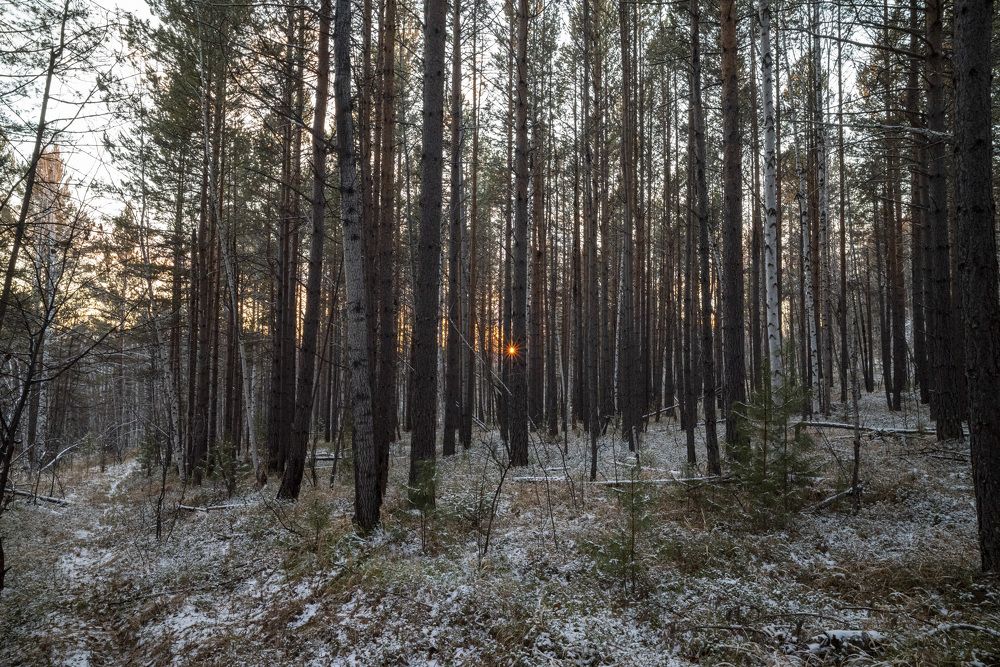 Photograph by Evgeniy