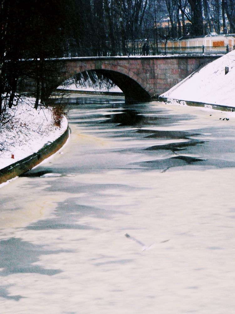 Photograph by Ирина Сергейчук