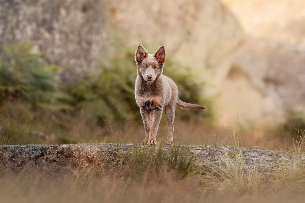 Grandir sous l'objectif