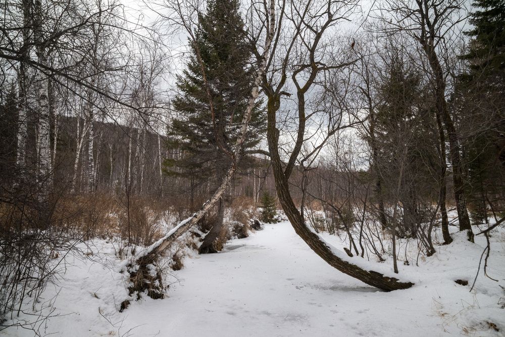 Photograph by Евгений