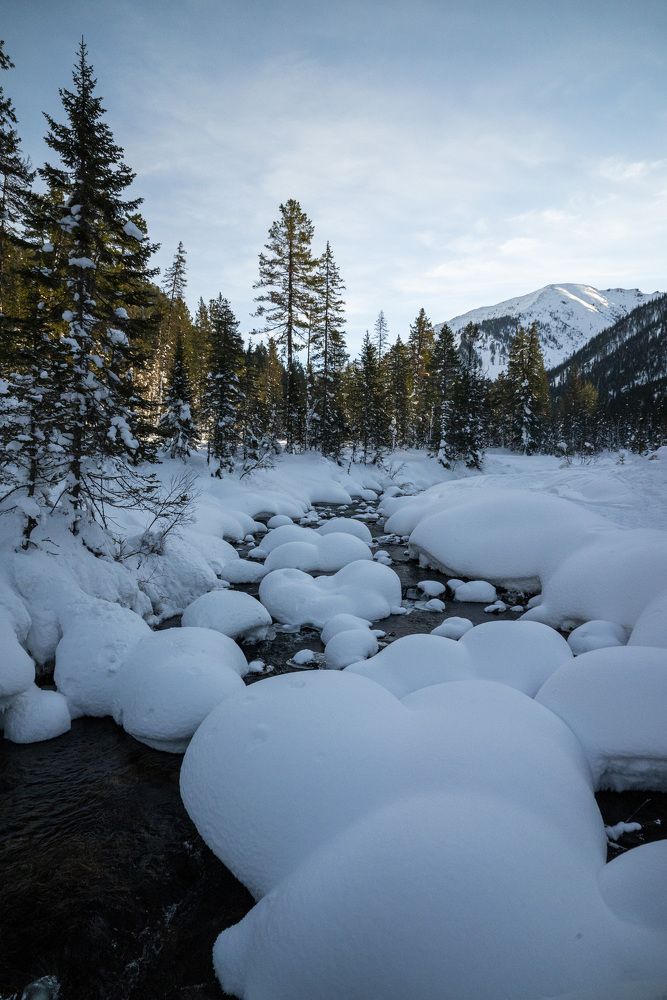 Photograph by Евгений