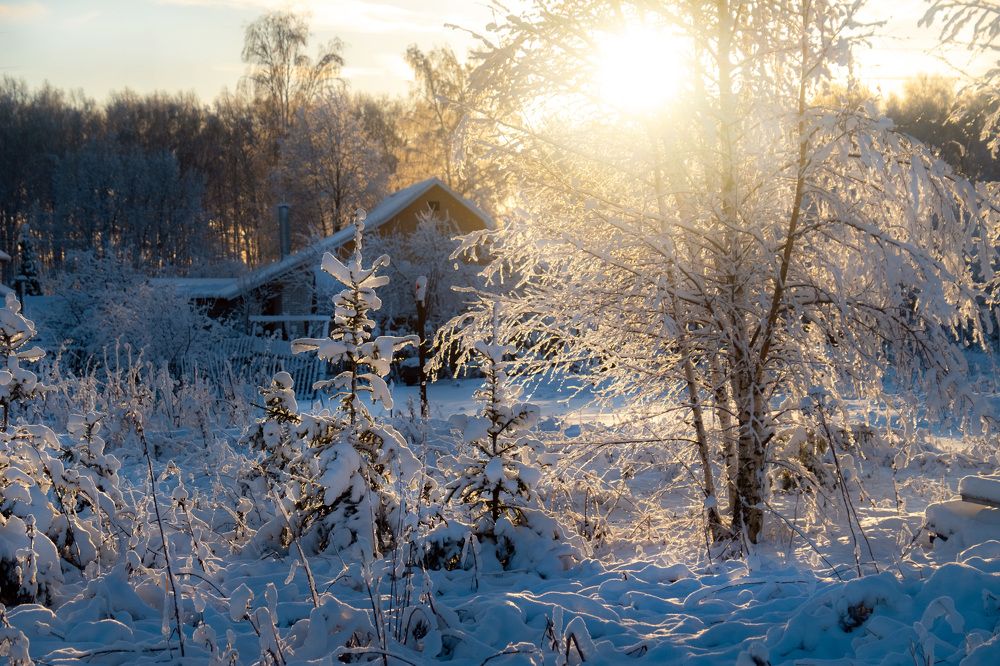 Photograph by Светлана