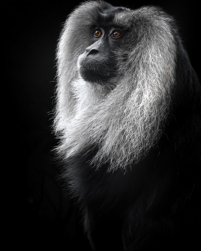 Photograph by eritz cortazar