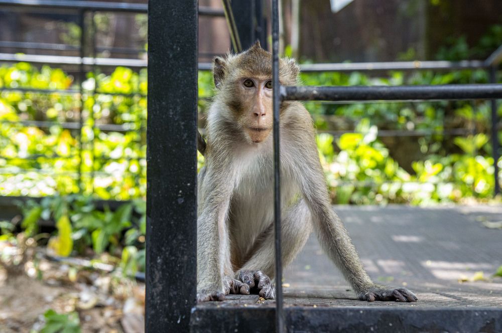 Photograph by Евгений