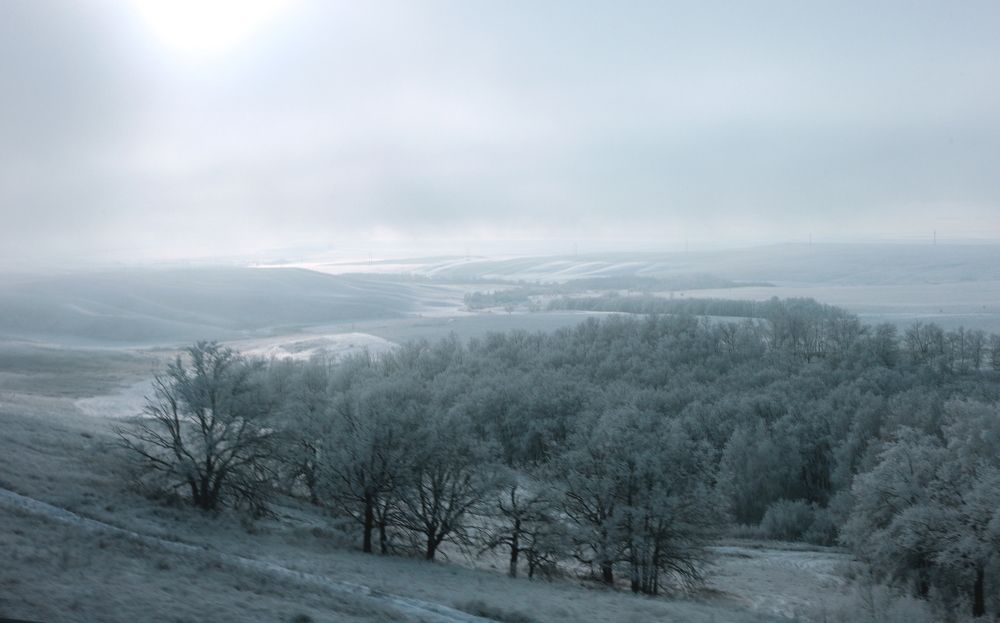 Photograph by Евгений Медведев
