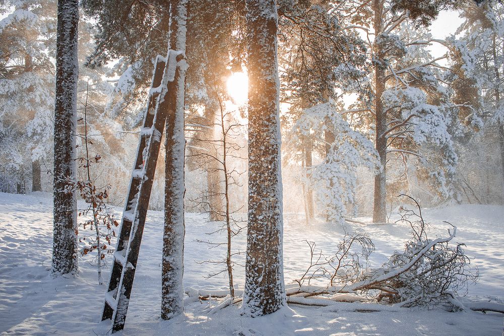 Фотография автора Inga Ivanova