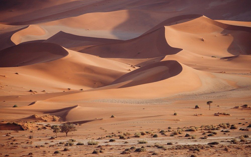 Photograph by Алексей Мараховец