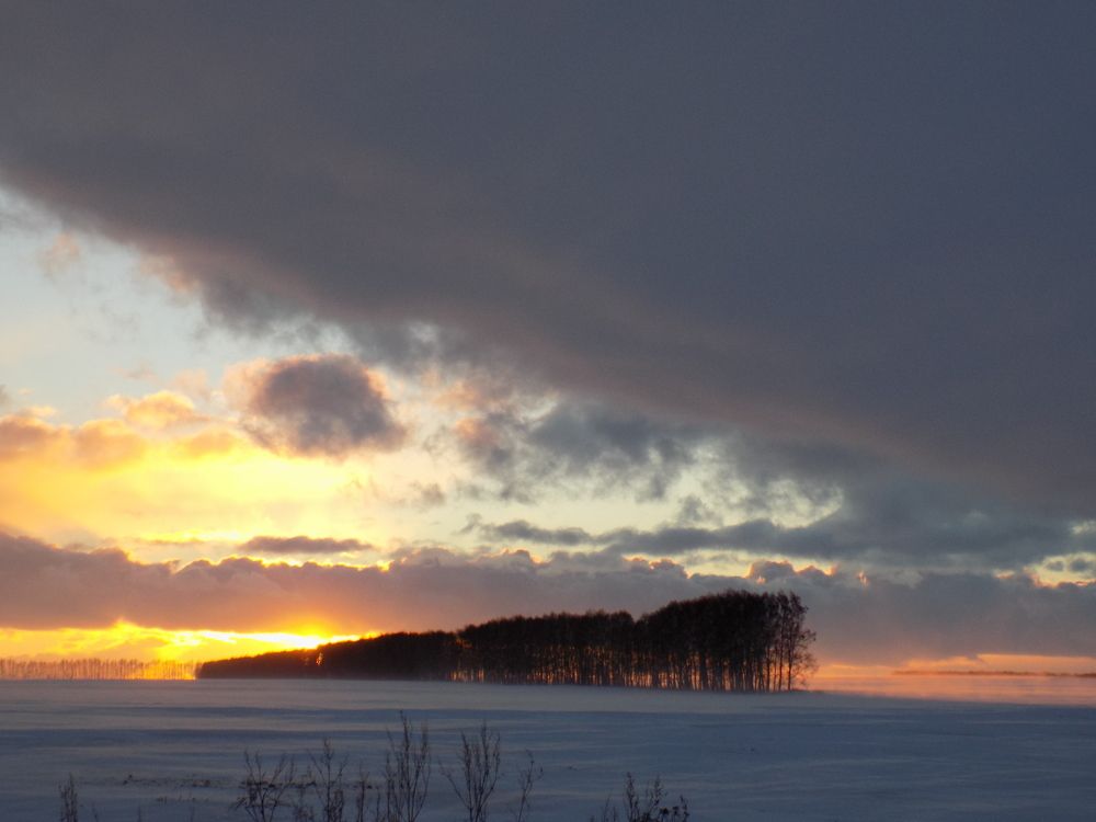Фотография автора Максим Штормов