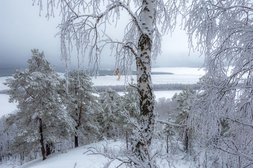 В плену зимы свое очарование