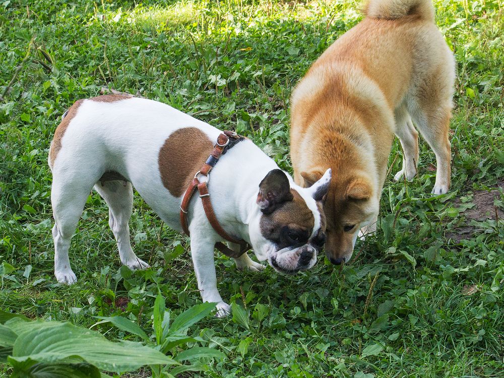 Фотография автора Борис Журавлёв