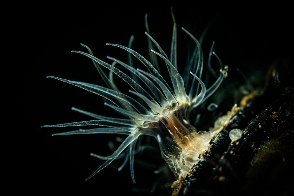 Photograph by Serdar AVCI