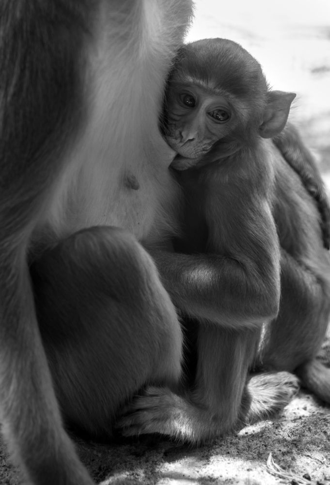 Фотография автора Inga Ivanova