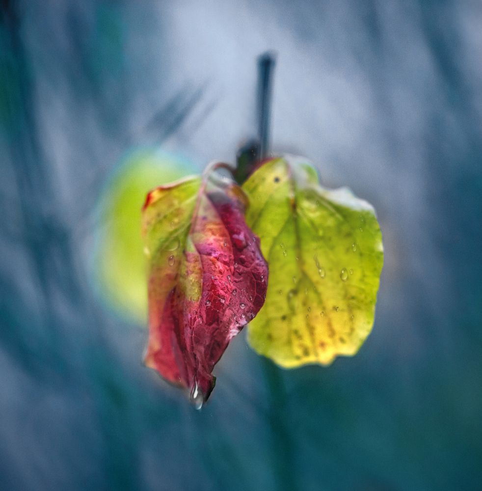 Photograph by Сергей Здерев