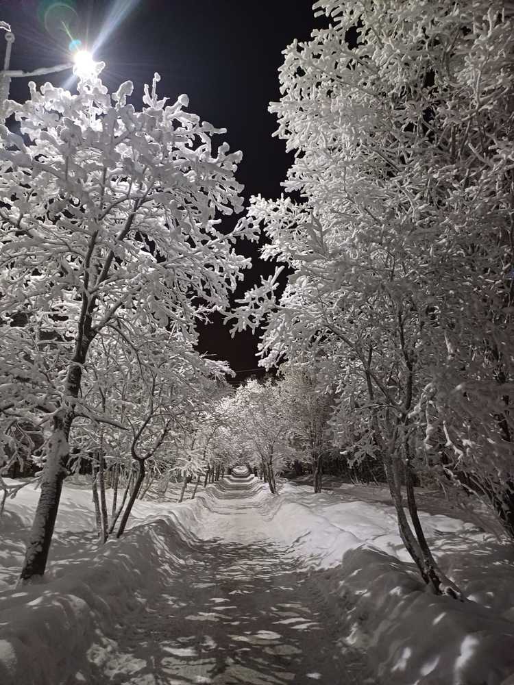 Photograph by Светлана Зотова