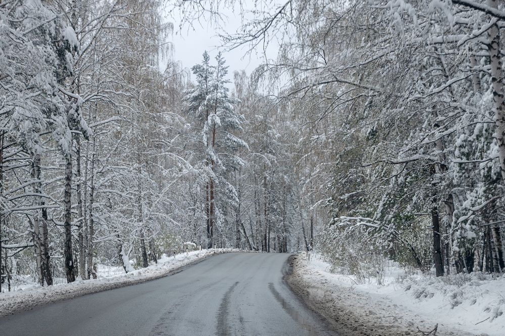 Photograph by Юлия Козельских