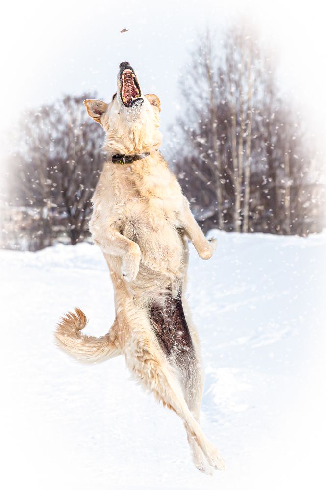 Photograph by Сергей Кузнецов