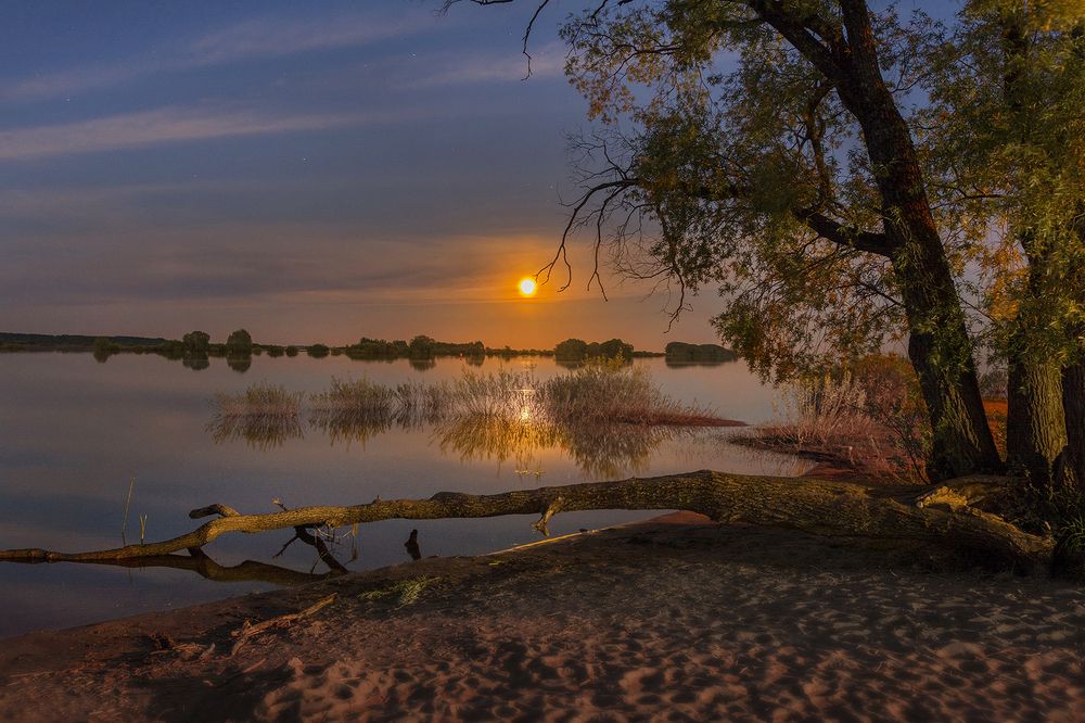 дотянутся до Луны