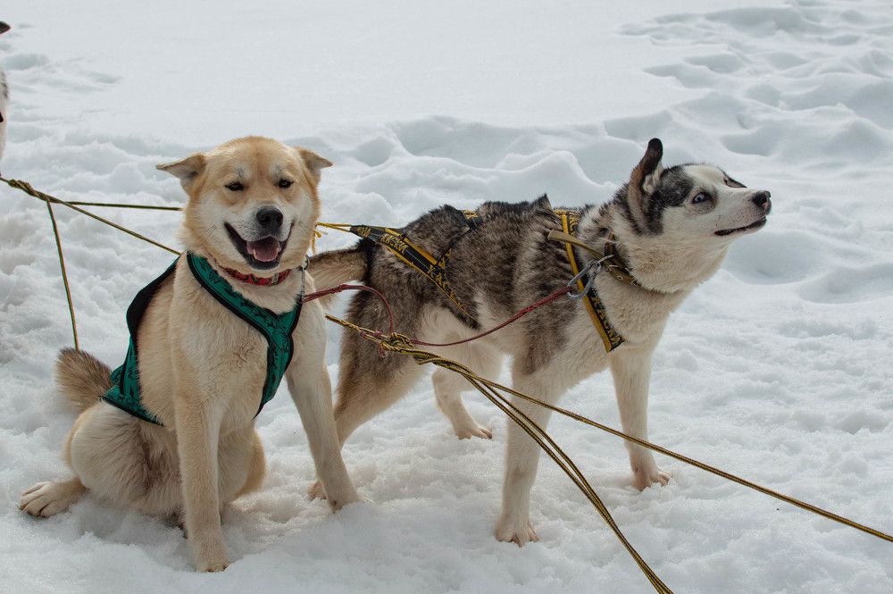 Photograph by Кристина Лакс