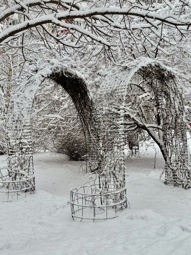 Photograph by Оксана Пахомова