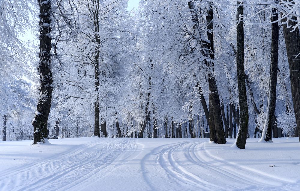 Photograph by Надежда Пухова