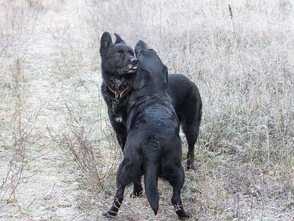 Фотография автора Борис Журавлёв