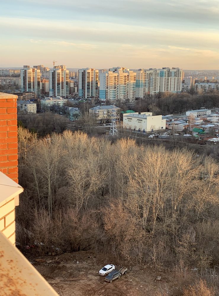 Фотография автора Андрей Рогов