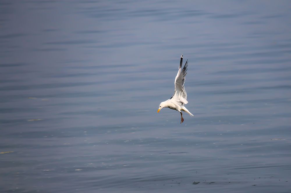 Фотография автора Марина Юдинских