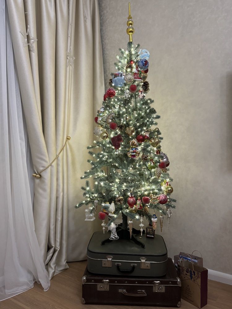 На чемоданах….