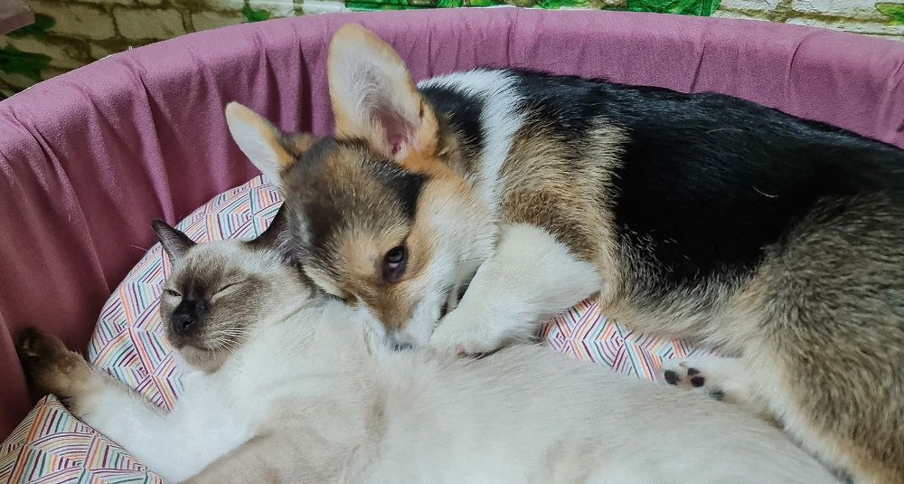 Photograph by Natasha Kim