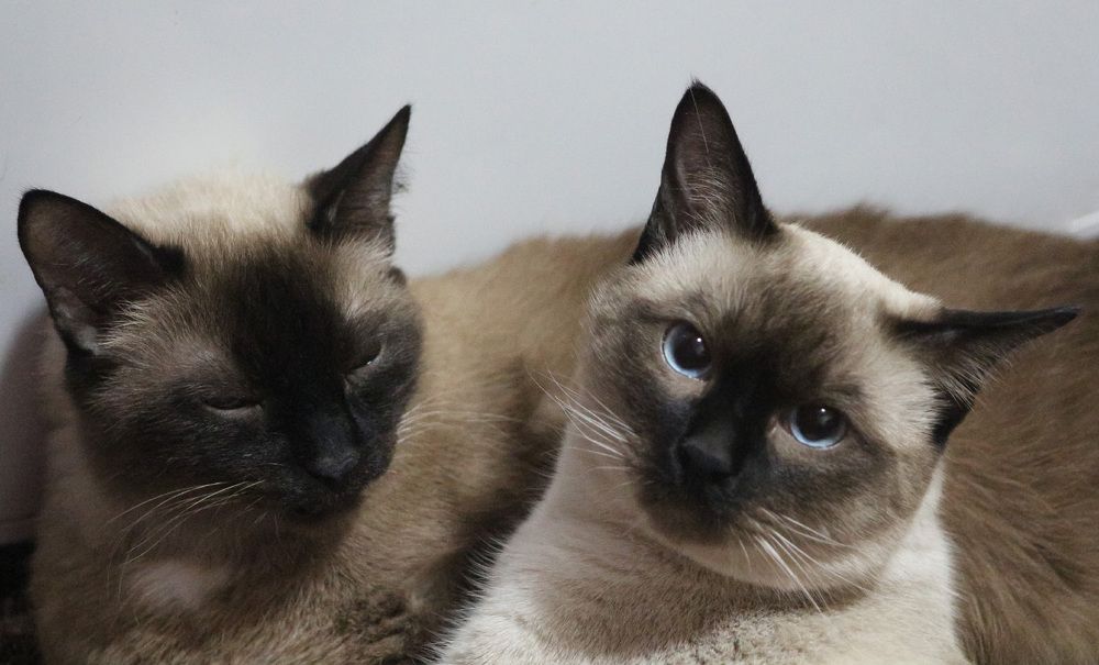 Photograph by Natasha Kim