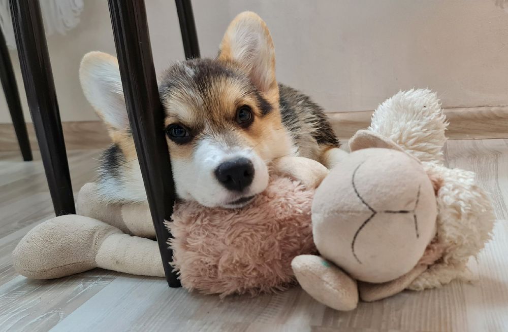 Photograph by Natasha Kim