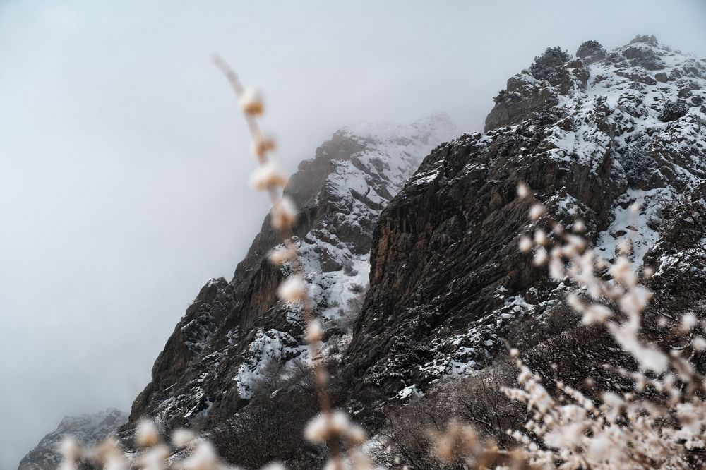 Photograph by Дильмурад Ахмедов